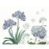 Set lin & coton imprimé multicolore Jardin de bretagne bleu
