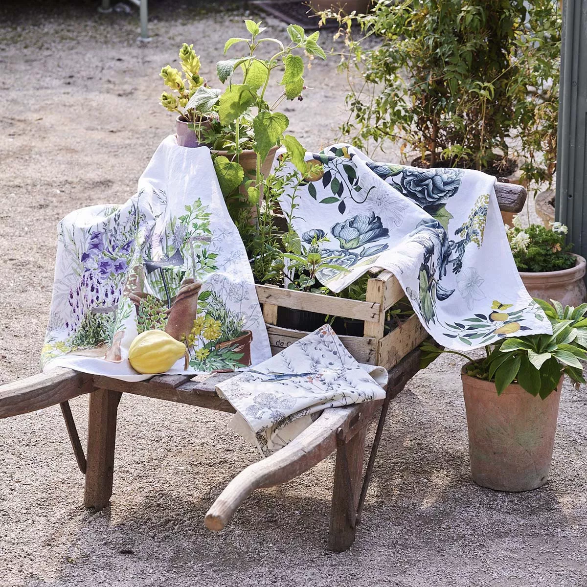 Torchon lin & coton lavé 190 g/m² imprimé multicolore Jardin aromatique provence