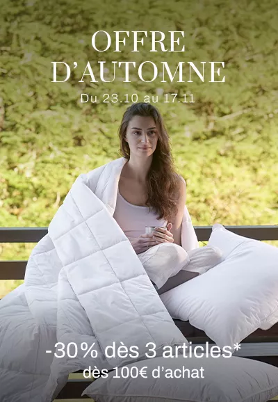Offre d'Automne 2026